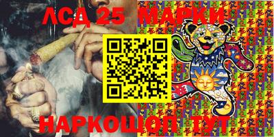гашик Камышлов