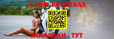 гашик Камышлов