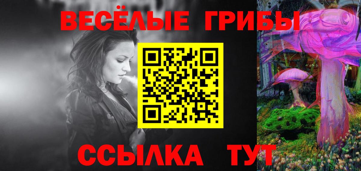 Ковров  Галлюциногенные грибы Cubensis  Вход с VPN 